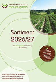 kon prosp neu 2022 gruen